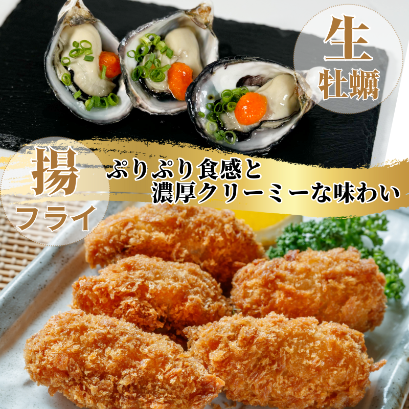 牡蠣 かき カキ 生ガキ 12個 計480g～600g 生食用 殻付きかき 数量限定 オイスター 貝柱 殻付牡蠣 生牡蠣 蒸し焼き 焼き牡蠣 カンカン焼き 加熱用牡蠣 海鮮 海の幸 魚介類 魚貝類 殻付き牡蠣 カキフライ 蒸しガキ キャンプ アウトドア 焼くだけ牡蠣 簡単調理 オイスターナイフ付き 和田島岬オイスター