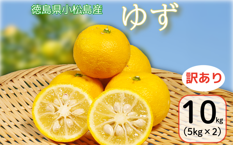 【訳あり】 ゆず 10kg 柚子 ゆず ユズ フルーツ 果物 柑橘 黄色 果皮 果汁 ゆずごしょう 柚子胡椒 スイーツ デザート アレンジ 柚子風呂 ゆず風呂 小松島市