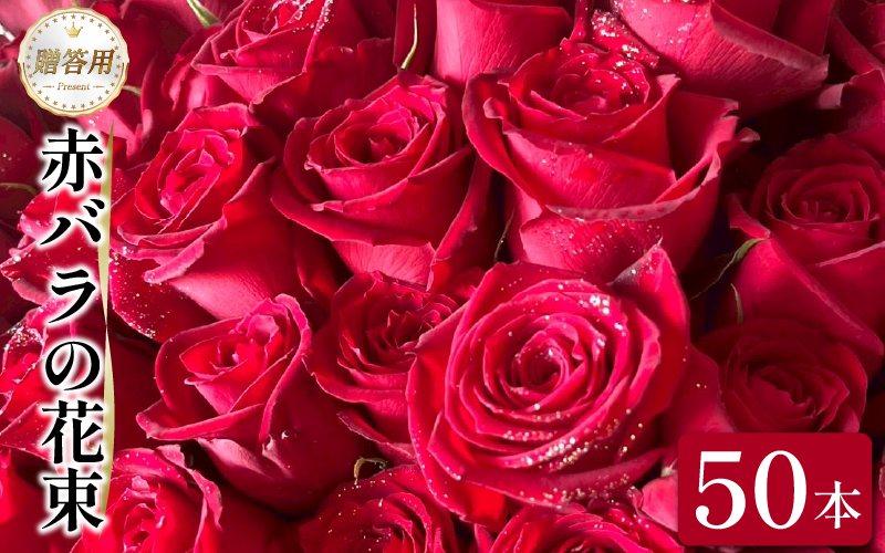 生花 赤バラ の 花束 50本 バラ 薔薇 花束  ローズ フラワー ブーケ プレゼント 贈り物 ギフト 生け花 雑貨 インテリア 人気 記念日 誕生日 フラワーガーデンミモザ  徳島県 小松島