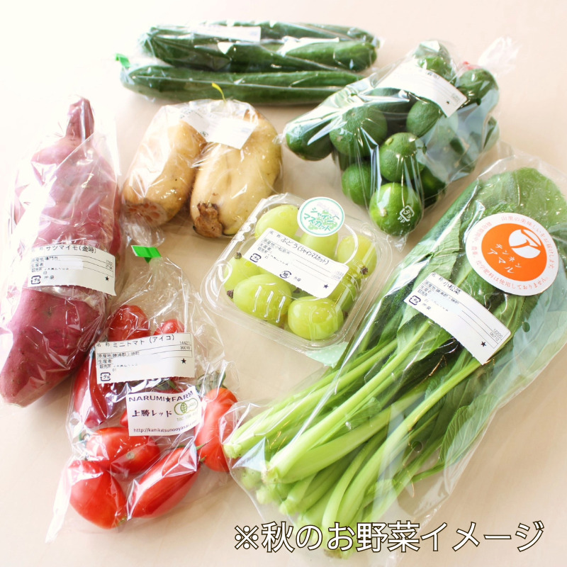 エシカル野菜5種とお米のセット 野菜 米 新鮮 採れたて 産地直送 やさい とうもろこし トマト 減農薬 きのこ オクラ 玉ねぎ 美味しい 小松島市