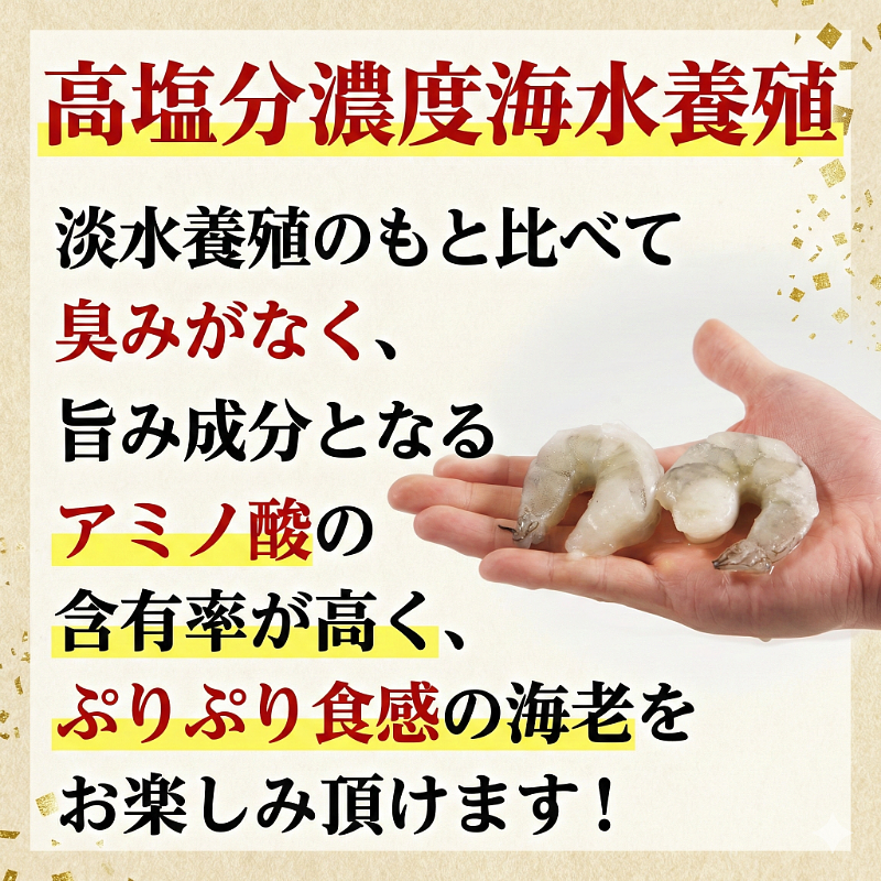 定期便 3回  えび 約1.2kg 冷凍 むきえび エビ 海老  小分け包装【北海道･沖縄･離島への配送不可】