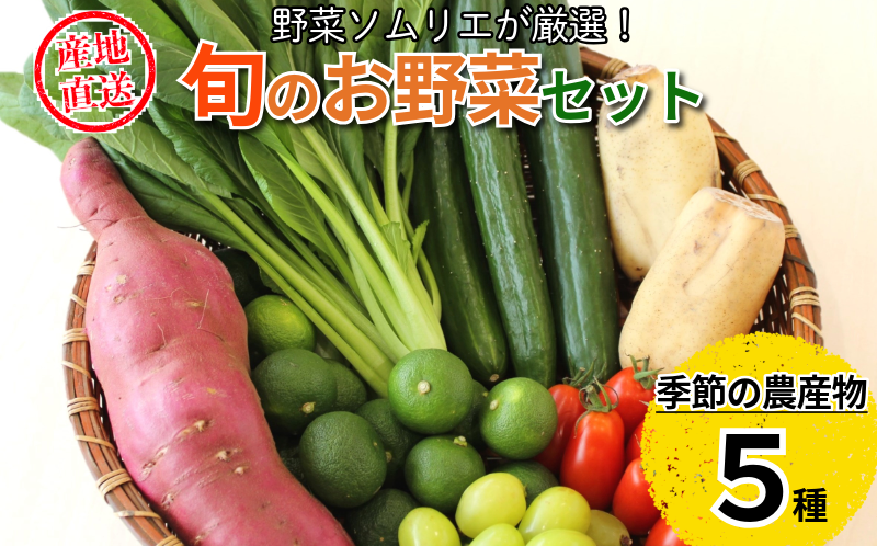 旬のエシカル野菜5種セット 野菜 おまかせ 新鮮 採れたて 産地直送 やさい とうもろこし トマト 減農薬 きのこ オクラ 玉ねぎ 美味しい 小松島市