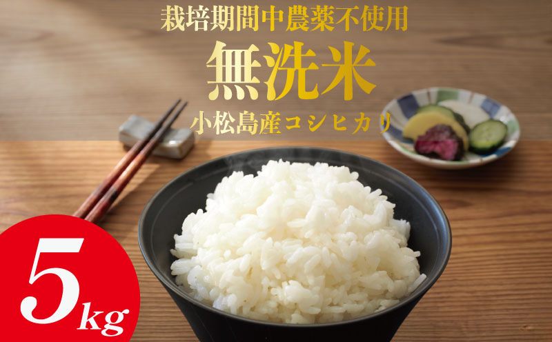 令和7年産 無洗米 5kg 栽培期間中農薬不使用 米 白米 お米 コメ こしひかり コシヒカリ ※ okome kome おむすび おにぎり 徳島県産 精米 徳島県 小松島市
