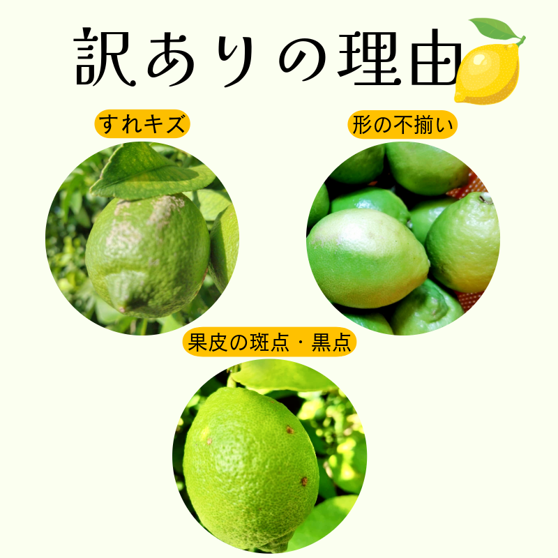 ã¬ã¢ã³ 5kg èš³ãã 2025幎10æé 次çºé åœç£ ã¬ã¢ã³ 檞檬 ããã ã¯ãã¯ã¹äžäœ¿çš é²è
å€äžäœ¿çš ææ© ææ± ãã«ãŒã æå® 埳島 å°æŸå³¶åž