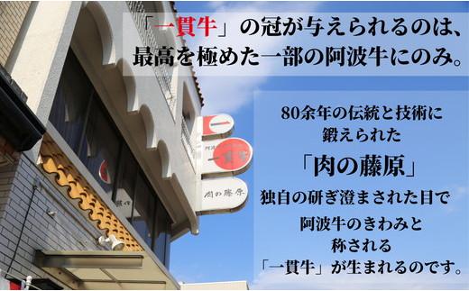 定期便 偶数月 6回 牛肉 切り落とし 1kg × 6ヵ月 ロース モモ カタ 焼肉 すき焼き BBQ バーベキュー 国産 阿波牛 冷凍 徳島県