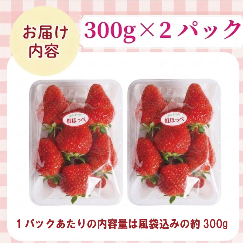 ãã¡ã çŽ
ã»ã£ãº çŽ600g ( çŽ300g à 2ãã㯠) å·èµ ææ¡ã èº æ¥ æ¬ ååœ åŸ³å³¶ å°æŸå³¶ æééå® ç£å°çŽé ãã¬ãã·ã¥ ã€ã㎠ãã«ãŒã æç© åœç£ ãµãããšäººæ° éå®åºè· ãã¡ã èº ã€ã㎠ãã©ã³ã å€§ç² èº æ¬ ç£å° çŽé ãã¬ãã·ã¥ ã€ã㎠ãã«ãŒã æç© åœç£ ããªãŒ 人æ°èº ãµãããšçŽçšèº ãµãããšèº