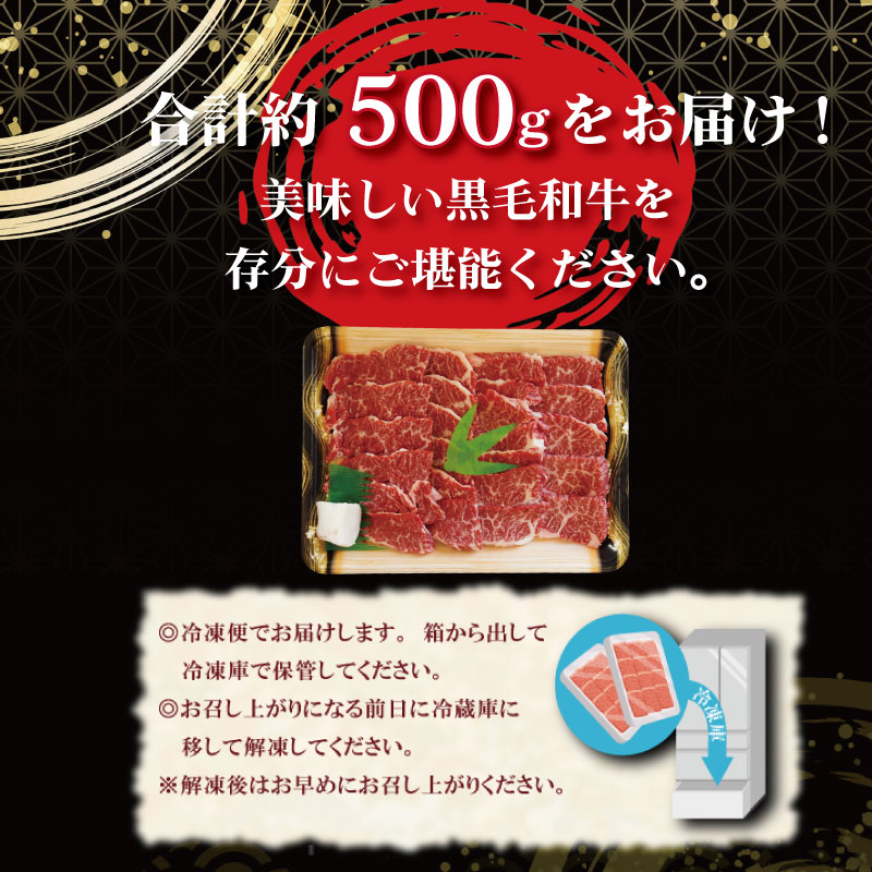  ハラミ 国産 冷凍 黒毛和牛 500g 特選 黒毛和牛 牛肉 焼肉 焼き肉 精肉 希少部位 BBQ はらみ 塩 味