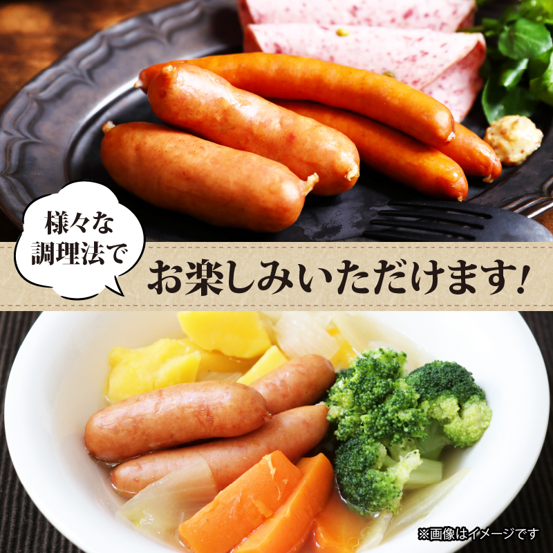 国産 豚肉 ソーセージ  ウインナー  120g 10p 1200g 阿波美豚 リーベフラウ