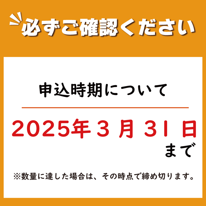 訳あり 果物 しらぬい 5kg L ～ 2L 混合 サイズ不揃い 先行予約 令和 7年産 1箱 不知火 柑橘 阿波市産