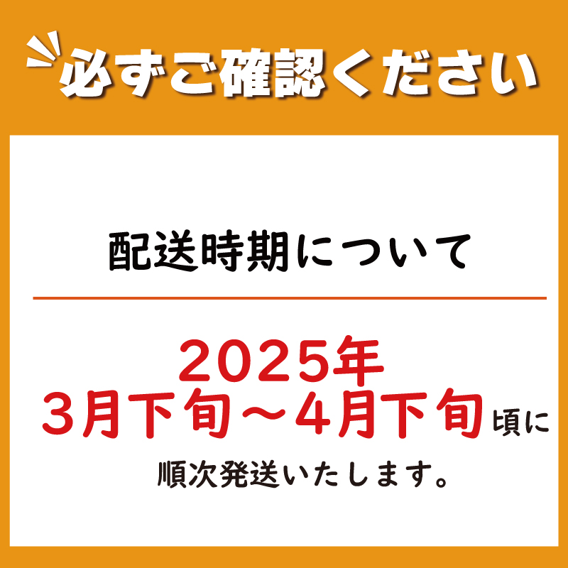 訳あり 果物 しらぬい 3kg L ～ 2L 混合 サイズ不揃い 先行予約 令和 7年産 1箱 不知火 柑橘 阿波市産