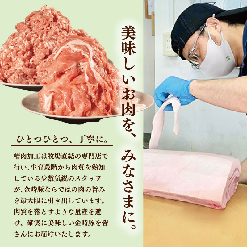 豚肉 豚汁 レトルト 5箱 (220g×5) 豚肉 ぶたにく 豚 ぶた ポーク 肉 にく 野菜 やさい スープ 味噌汁 味噌 みそ ブランド豚 金時豚 防災食 備蓄 常温保存 保存食 レトルト 食品 簡単調理 時短 ギフト プレゼント 贈答 お取り寄せ グルメ 送料無料 徳島県 阿波市徳島県阿波市