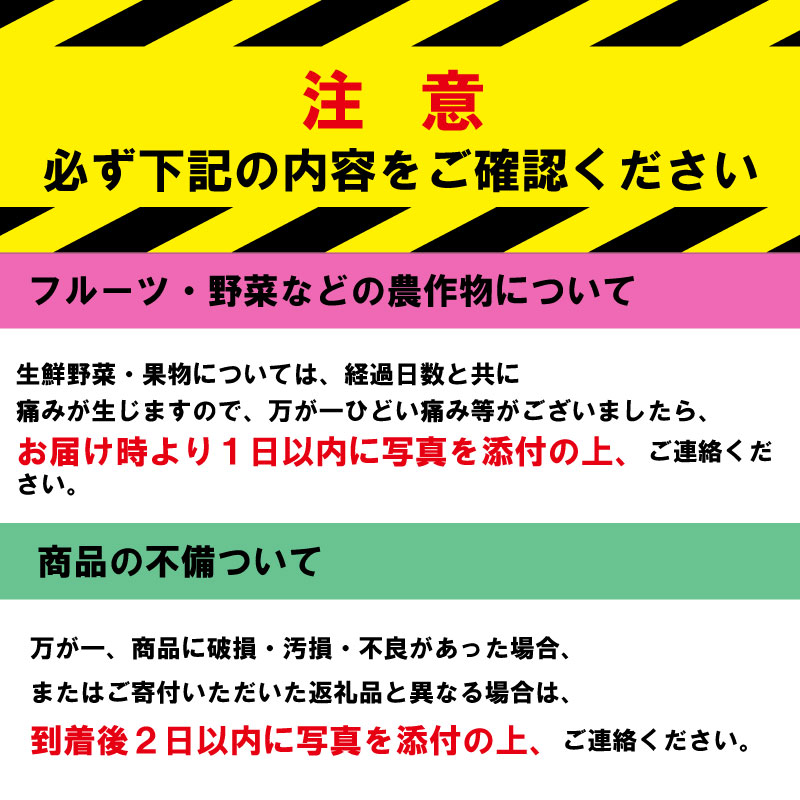 果物 しらぬい 3kg 3Lサイズ 8玉入り 先行予約 令和 7年産 1箱 不知火 柑橘 阿波市産