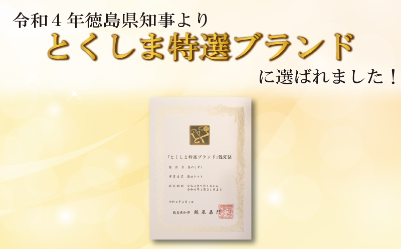 トマト フルーツトマト 1kg 野菜 やさい トマト 薄皮 星のしずく 完熟 高糖度 糖度 8度 果物 スイーツ ジュース パスタ スパゲティー ソース サラダ ドレッシング 鍋 サンドイッチ ハンバーガー ピザ カレー ギフト 贈答 プレゼント お取り寄せ グルメ 送料無料 徳島県 阿波市 原田トマト★