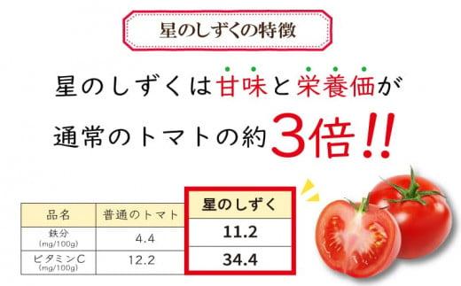 フルーツトマト トマト 定期便 3回 1kg 野菜 やさい トマト 薄皮 星のしずく 完熟 高糖度 糖度 8度 果物 スイーツ ジュース パスタ スパゲティー ソース サラダ ドレッシング 鍋 サンドイッチ ハンバーガー ピザ カレー ギフト 贈答 プレゼント お取り寄せ グルメ 送料無料 徳島県 阿波市 原田トマト