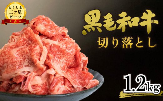 黒毛和牛 国産 牛肉 切り落とし 小分け 1.2kg 600g×2p とくしま三ツ星ビーフ