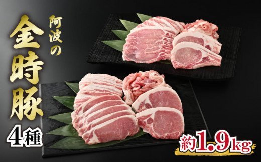 国産 豚肉 切り落とし 約1.9kg ロース バラ セット 4種 阿波の金時豚