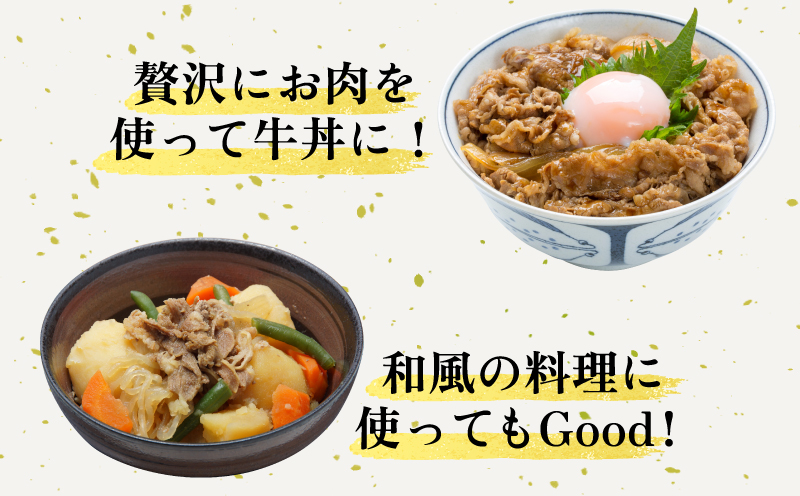 牛肉 切り落とし 1kg 和牛 黒毛和牛 国産 牛肉 牛 うし 肉 にく ビーフ 三つ星ビーフ すき焼き すきやき しゃぶしゃぶ 焼肉 やきにく カレー 牛丼 BBQ アウトドア キャンプ おかず おつまみ 弁当 惣菜 日用 冷凍 小分け お取り寄せ グルメ 送料無料 徳島県 阿波市 肉の藤原