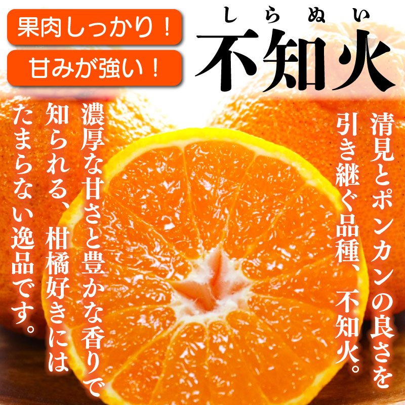 訳あり 果物 しらぬい 5kg L ～ 2L 混合 サイズ不揃い 先行予約 令和 7年産 1箱 不知火 柑橘 阿波市産