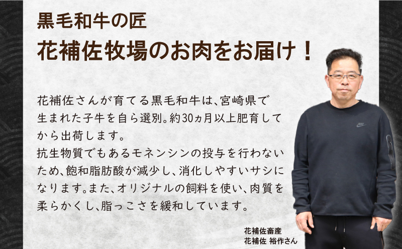 牛肉 福袋 3万円コース 黒毛和牛 A5等級 阿波華牛 和牛 ぎゅうにく 牛 ぎゅう うし 肉 ビーフ 赤身 ロース 肩 モモ すき焼き すきやき しゃぶしゃぶ 焼肉 牛丼 カレー シチュー BBQ アウトドア キャンプ ギフト プレゼント 贈答 お取り寄せ グルメ おかず 惣菜 おつまみ 弁当 日用 冷凍 小分け 送料無料 徳島県 阿波市 肉の北海徳島県阿波市