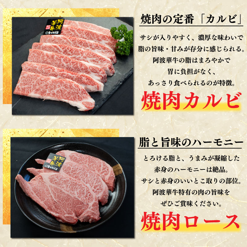 牛肉 福袋 3万円コース 黒毛和牛 A5等級 阿波華牛 和牛 ぎゅうにく 牛 ぎゅう うし 肉 ビーフ 赤身 ロース 肩 モモ すき焼き すきやき しゃぶしゃぶ 焼肉 牛丼 カレー シチュー BBQ アウトドア キャンプ ギフト プレゼント 贈答 お取り寄せ グルメ おかず 惣菜 おつまみ 弁当 日用 冷凍 小分け 送料無料 徳島県 阿波市 肉の北海徳島県阿波市