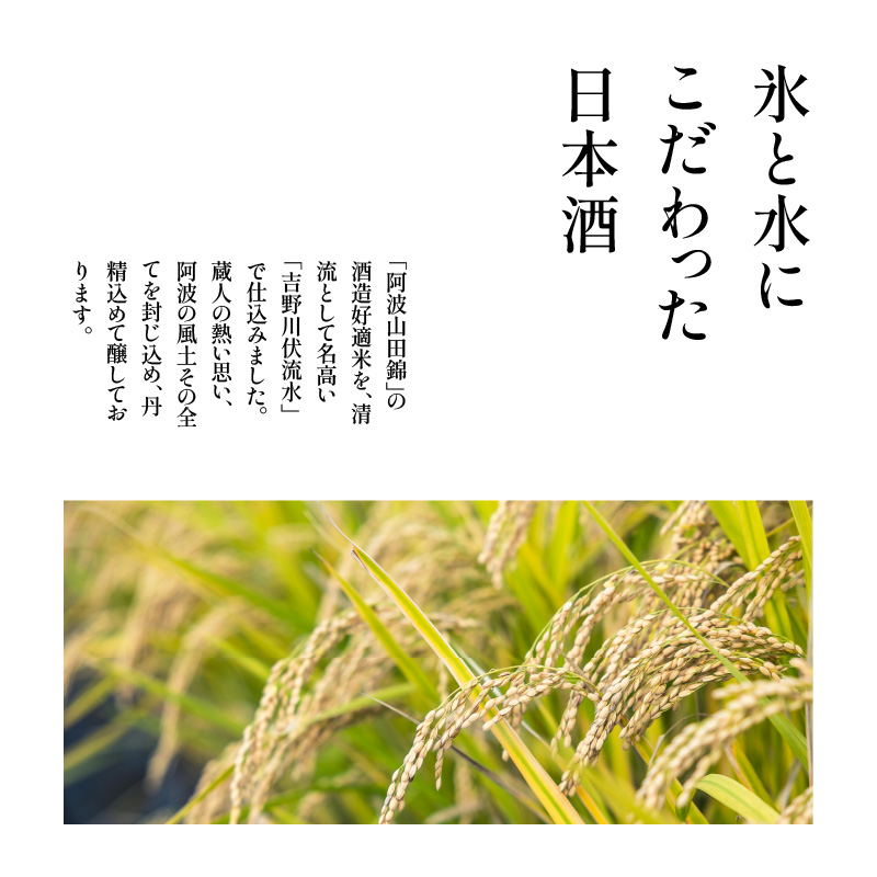 日本酒 セット 飲み比べ 3本 （各 720ml） セット 地酒 特別本醸造 吟醸 純米 山田錦 ロック 水割り 宅飲み 晩酌 ギフト 共通返礼品