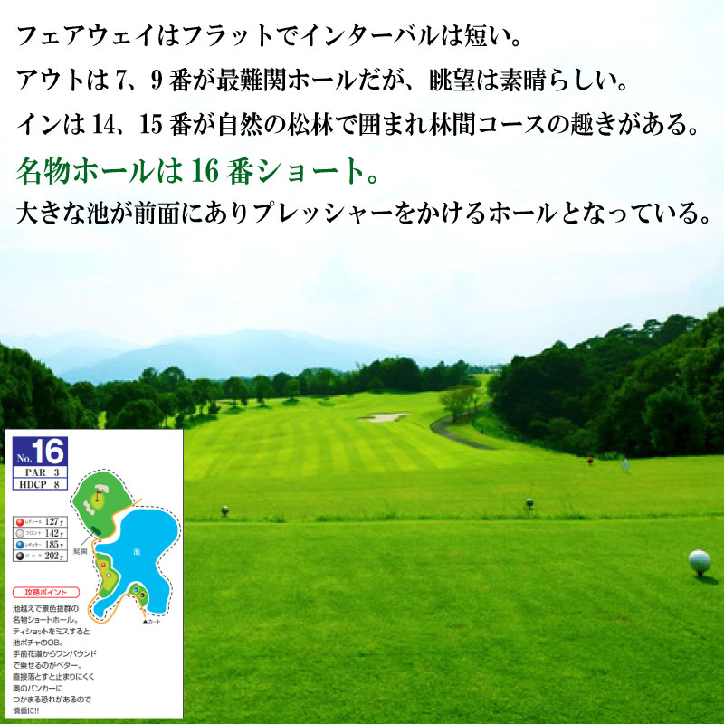 タカガワ西徳島ゴルフ倶楽部 ゴルフ場 利用券 2万円分 プレー券 スポーツ ゴルフ 施設利用補助券 施設利用券 チケット ゴルフプレー券 ゴルフ場利用券 阿波市 徳島県