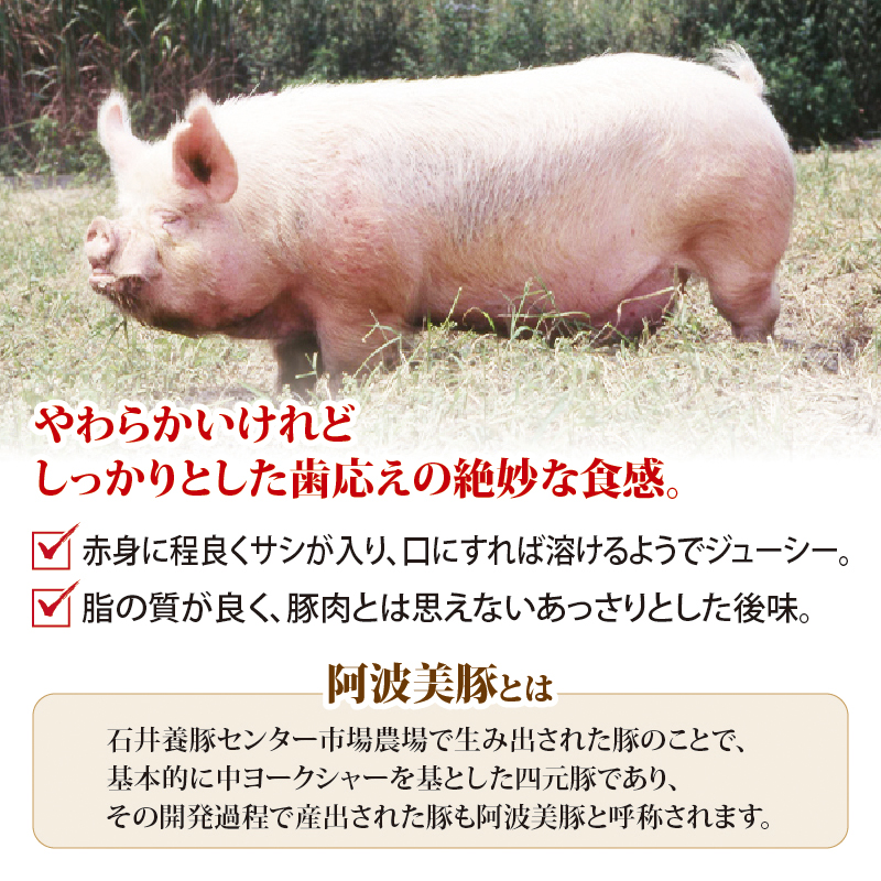 国産 豚肉 ソーセージ  ウインナー  120g 10p 1200g 阿波美豚 リーベフラウ