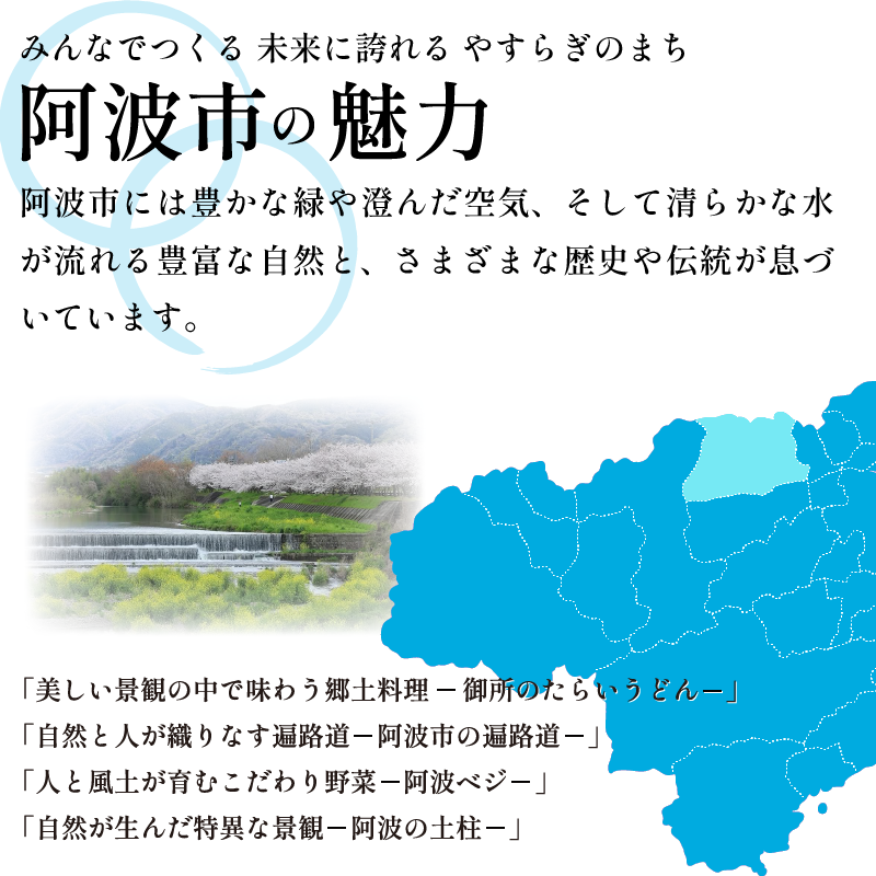 和菓子 カステラ とら巻き 10本 白あん 保存料不使用 ギフト 贈答品 菓匠村上 徳島県 阿波市