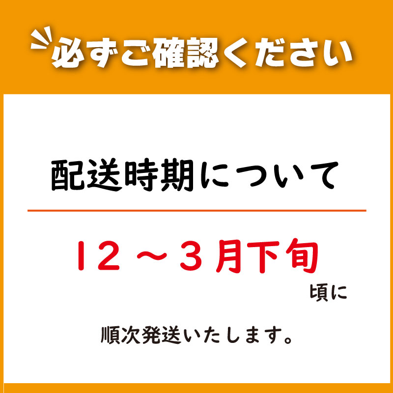 【 早期予約 】朝採れ 産地直送 鮮度抜群 ブロッコリー 大容量 8本 減農薬 徳島県 阿波市 野菜