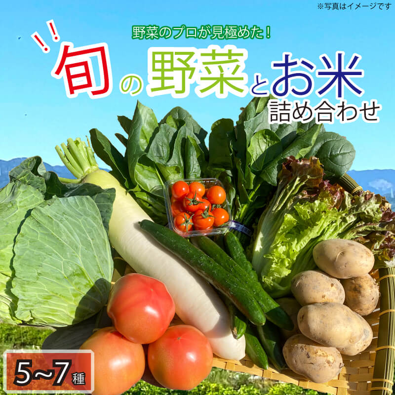 野菜 米 お楽しみ 5~7品目 詰め合わせ 