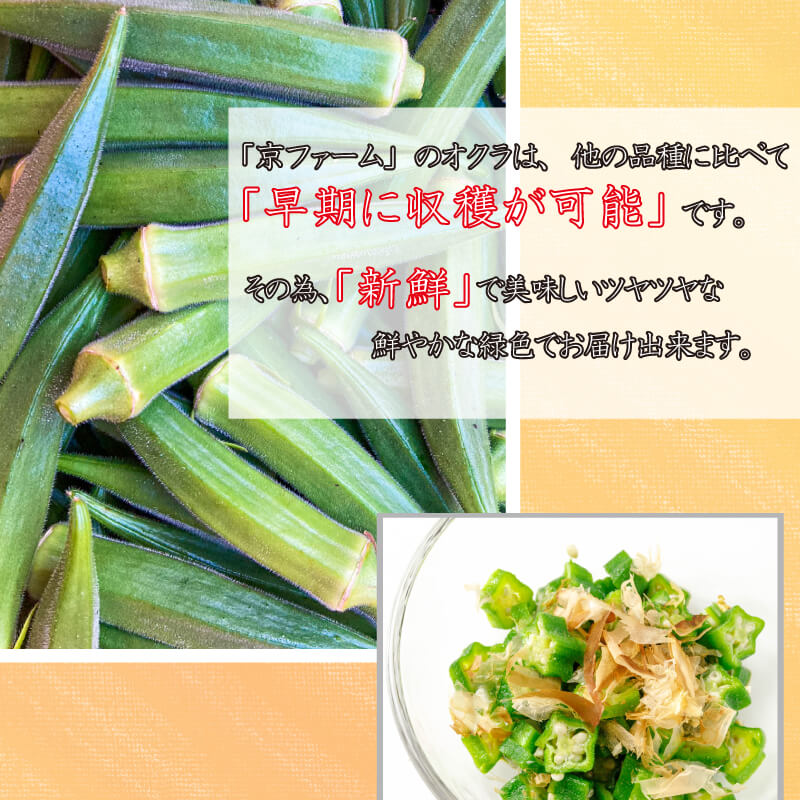 【 先行予約 】朝採れ なす 約2.2kg と オクラ 約1.2kg セット 千両なす オクラ 野菜 夏野菜 阿波市産 徳島県