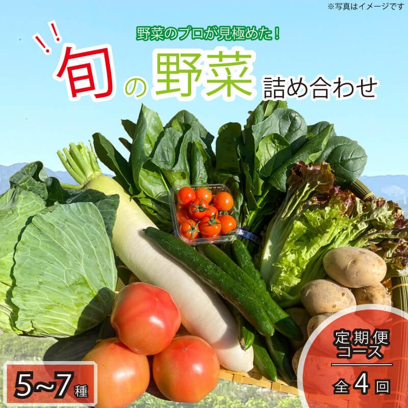 野菜 お楽しみ 5~7品目 年4回 定期便 詰め合わせ セット 阿波市 徳島県 急上昇