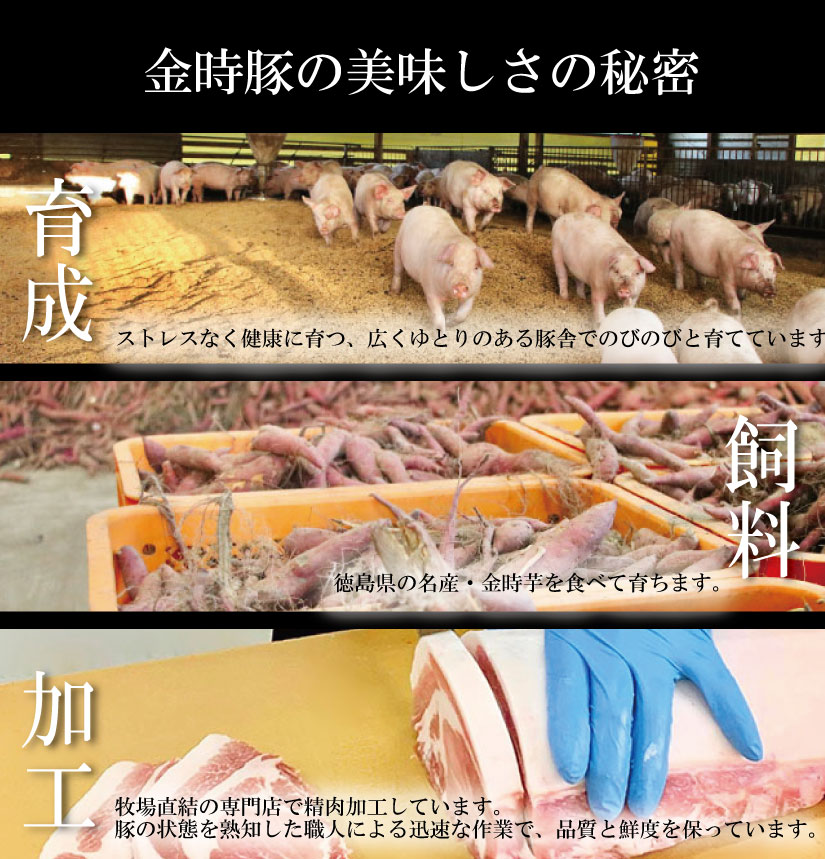 豚肉 ミンチ 4kg ブランド豚 金時豚 小分け 真空パック 冷凍 国産 赤身 ウデ モモ 生姜焼き 野菜炒め 豚汁 豚丼 中華炒め 豚こま 鍋 ポークカレー カレー 肉じゃが 回鍋肉 ハンバーグ 味付け 内祝い ギフト 贈り物 徳島県 阿波市