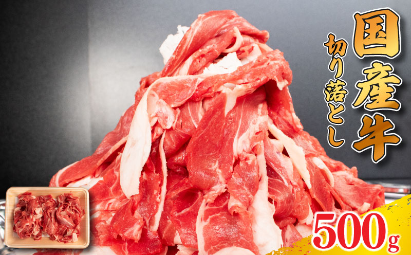 牛肉 切り落とし 500g 肉 にく 牛肉 ぎゅうにく ビーフ しゃぶしゃぶ すき焼き すきやき 焼肉 国産 BBQ バーベキュー アウトドア キャンプ ギフト プレゼント 贈答 お取り寄せ 人気 おすすめ グルメ 冷凍 送料無料 徳島県 阿波市 徳島県阿波市