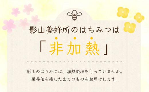 【 純度100 % 】国産 非加熱 はちみつ 定期便 4回  500g 影山養蜂研究所 栄養 満点 無添加 蜂蜜 ハチミツ ギフト デザート ピザ トースト