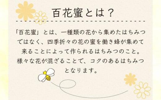 【 純度100 % 】国産 非加熱 はちみつ 定期便 4回  500g 影山養蜂研究所 栄養 満点 無添加 蜂蜜 ハチミツ ギフト デザート ピザ トースト