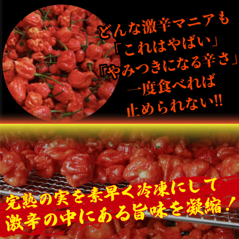 キャロライナリーパーホール 100g 唐辛子 キャロライナリーパー 香味料 冷凍 調味料 スパイス 激辛 徳島県 阿波市