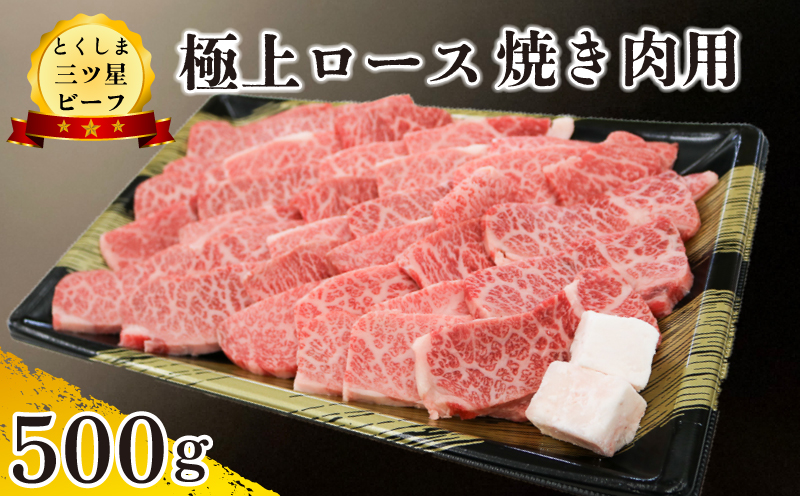 黒毛和牛 ロース 焼肉 500g 和牛 とくしま三つ星ビーフ 牛肉 ぎゅうにく 牛 肉 ビーフ BBQ アウトドア キャンプ おかず おつまみ 惣菜 弁当 日用 お祝い 誕生日 記念日 ギフト 贈答 プレゼント お取り寄せ グルメ 冷凍 小分け 送料無料 徳島県 阿波市 肉の藤原