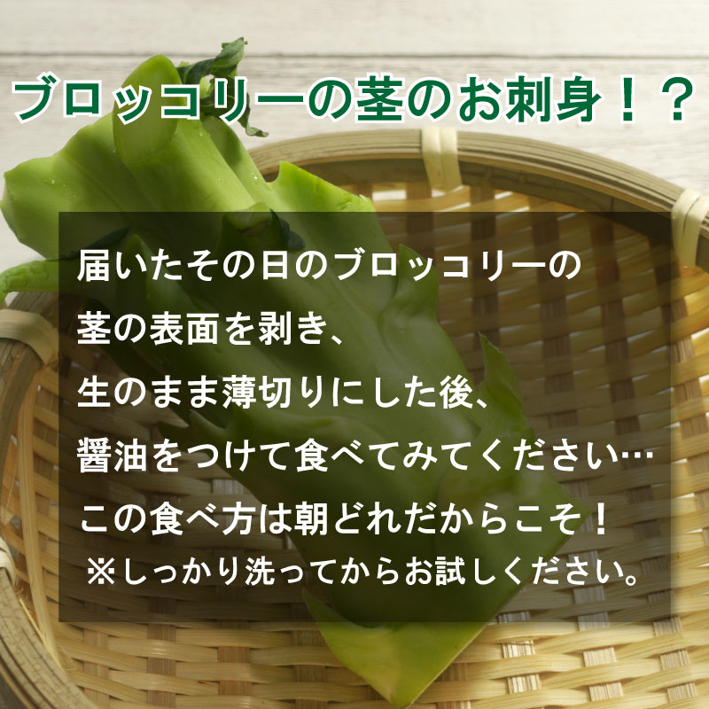 【 早期予約 】朝採れ 産地直送 鮮度抜群 ブロッコリー 大容量 8本 減農薬 徳島県 阿波市 野菜
