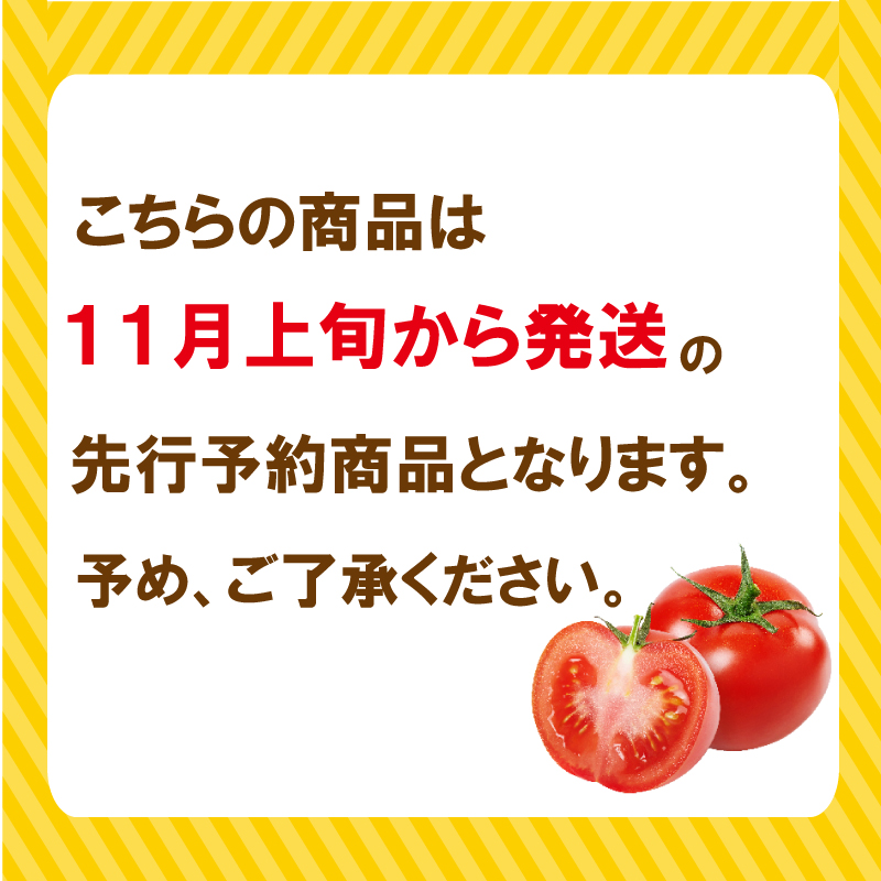 【 先行予約 】 フルーツ トマト 星のしずく 糖度8以上 トマトピューレ 2本 《2024年11月上旬 ～ 順次出荷》