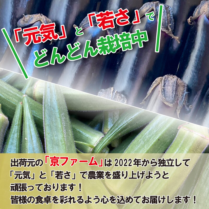 【 先行予約 】朝採れ なす 約2.2kg と オクラ 約1.2kg セット 千両なす オクラ 野菜 夏野菜 阿波市産 徳島県