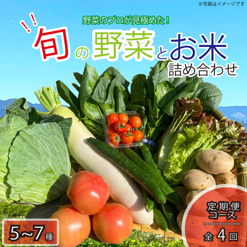 野菜 米 お楽しみ 5~7品目 年4回 定期便 詰め合わせ セット 阿波市 徳島県 
