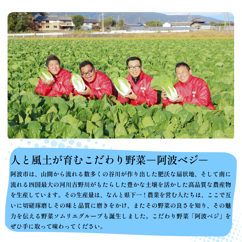 ぶどう 品種おまかせ 2房 約 1kg ＜出荷時期：2026年8月中旬～9月中旬頃＞ ピオーネ 藤稔 シャインマスカット 巨峰 フルーツ 果物 葡萄 詰め合わせ 徳島県 阿波市