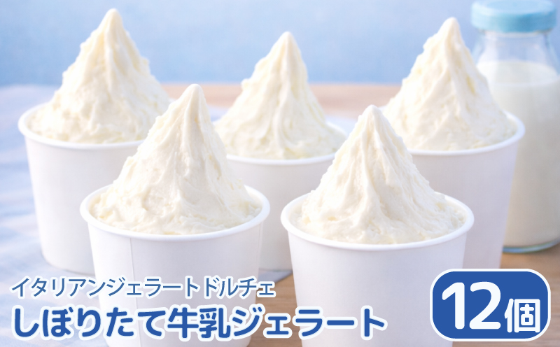 ジェラート イタリアンジェラート しぼりたて牛乳 12個 × 120ml アイスクリーム