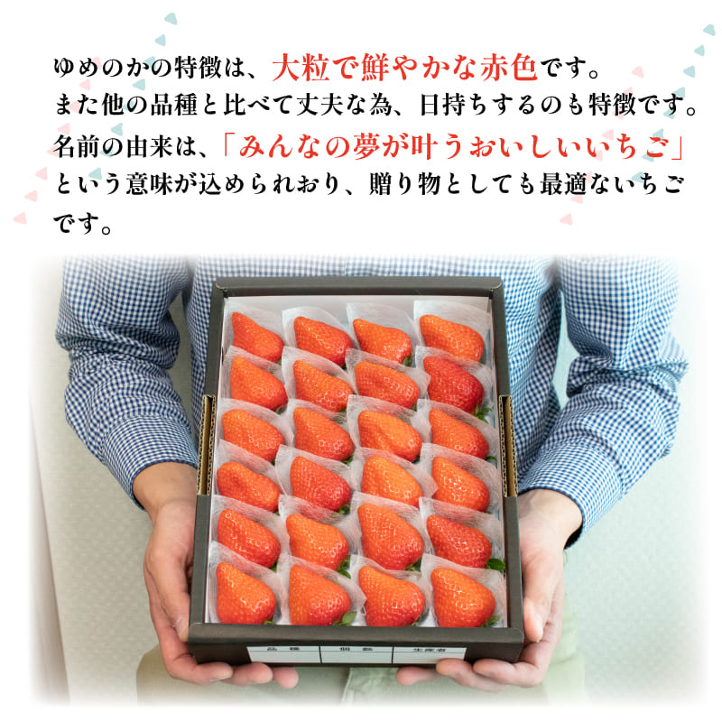 いちご 果物 フルーツ ゆめのか 化粧箱 贈答用 ストロベリー スイーツ 阿波市 徳島県