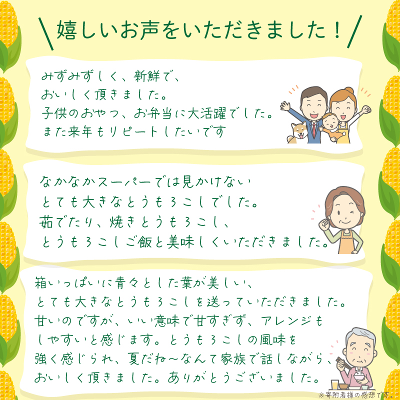 とうもろこし 朝どり 5kg スイートコーン 甘い おおもの 先行予約 《 2025年6月～順次発送 》 おおもの  大粒 コーン サラダ 野菜 やさい 新鮮 サラダ 醤油 バター 砂糖 焼き肉 焼肉 バーベキュー BBQ キャンプ アウトドア 天ぷら スープ コーンスープ徳島県 阿波市