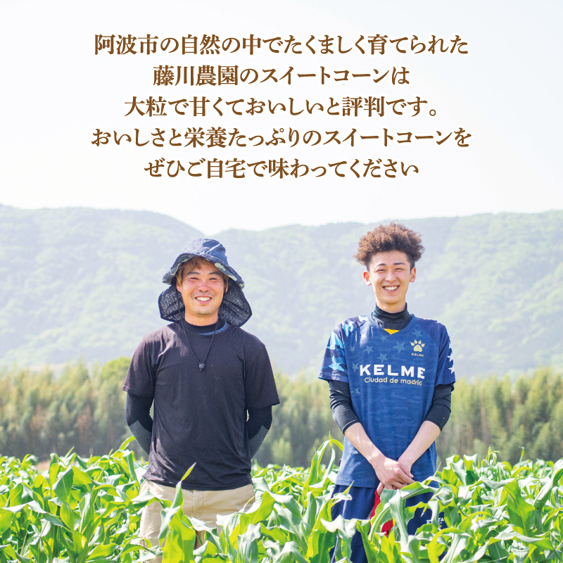 とうもろこし 朝どり 5kg スイートコーン 甘い おおもの 先行予約 《 2025年6月～順次発送 》 おおもの  大粒 コーン サラダ 野菜 やさい 新鮮 サラダ 醤油 バター 砂糖 焼き肉 焼肉 バーベキュー BBQ キャンプ アウトドア 天ぷら スープ コーンスープ徳島県 阿波市