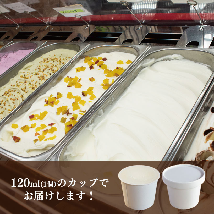 ã¢ã€ã¹ã¯ãªãŒã ãžã§ã©ãŒã ããŸãã ã»ãã 12å 120ml ã€ã¿ãªã¢ã³ãžã§ã©ãŒã æäœã