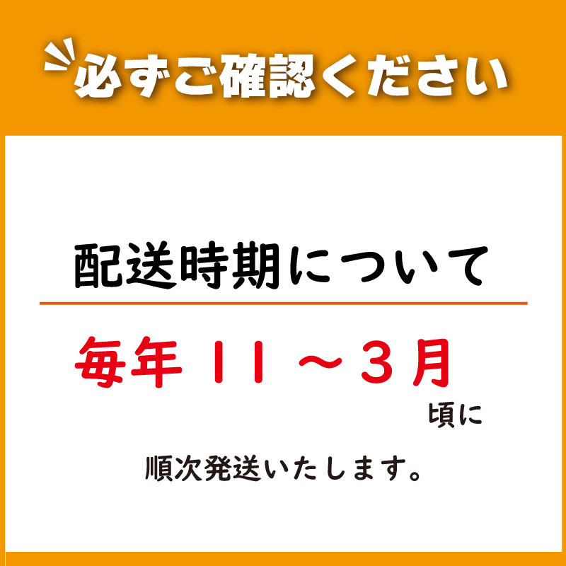 【 早期予約 】 朝採れ 産地直送 鮮度抜群 菊芋 3kg 徳島県 阿波市 芋 いも