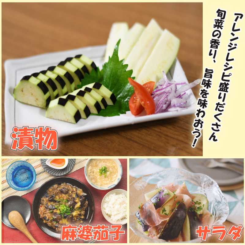 野菜 夏野菜 なすび 水茄子 約 2kg 朝どれ 産地直送 徳島県 阿波市